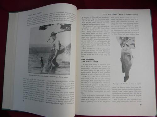 photo of 1940s illustrated Outdoor Life Cyclopedia dog training, fishing etc. #2