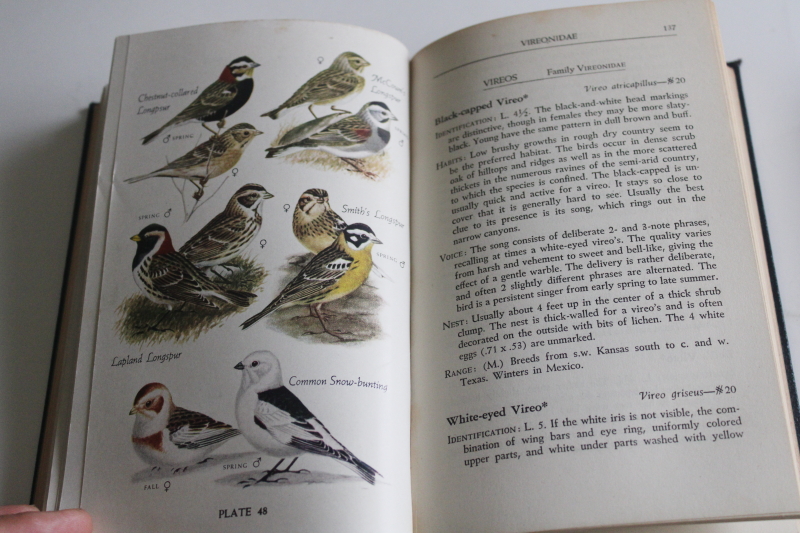 photo of 1940s vintage field guides Audubon Land Birds Eastern Bird books, illustrations and color plates  #10