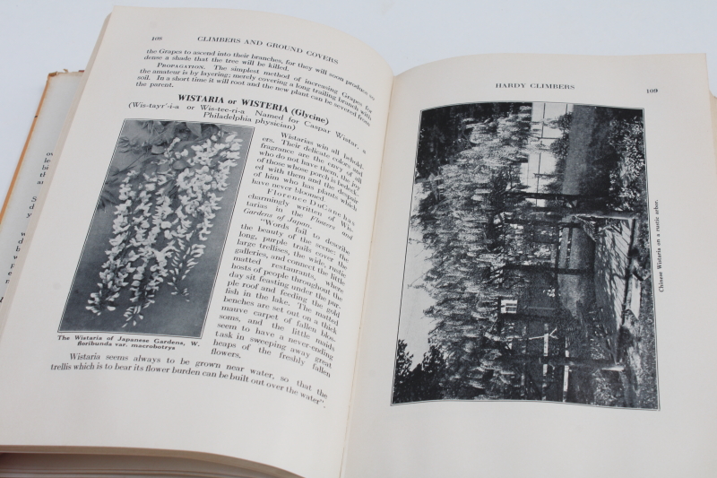 photo of 1940s vintage garden book ground covers & climbing plants flowering vines & trellis design #4