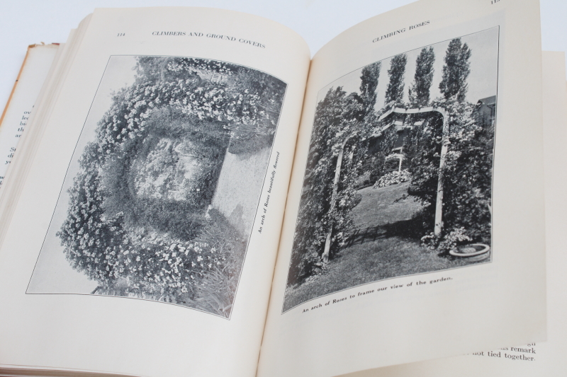 photo of 1940s vintage garden book ground covers & climbing plants flowering vines & trellis design #5
