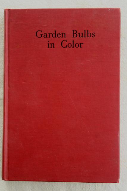 photo of 1940s vintage illustrated gardening book, flower bulbs colored garden photo plates #2