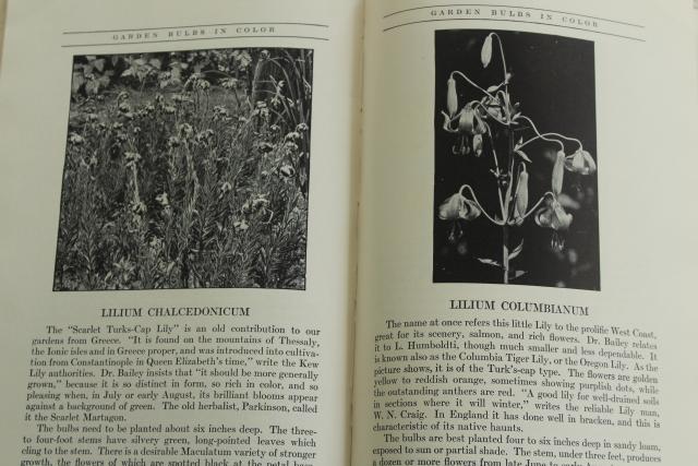 photo of 1940s vintage illustrated gardening book, flower bulbs colored garden photo plates #5