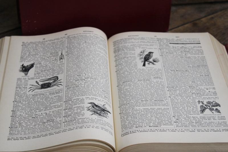 photo of 1940s vintage two volume dictionary, big books w/ old red & gold covers #9