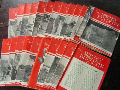 photo of 1943 jersey bulletins, dairy cattle cows pedigrees, ads #1