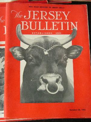 photo of 1943 jersey bulletins, dairy cattle cows pedigrees, ads #3