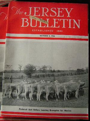 photo of 1945 jersey bulletins, dairy cattle cows pedigrees, ads #2