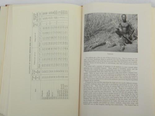 photo of 1948 1st edition Rifles for African big game hunting stories & photos - #5