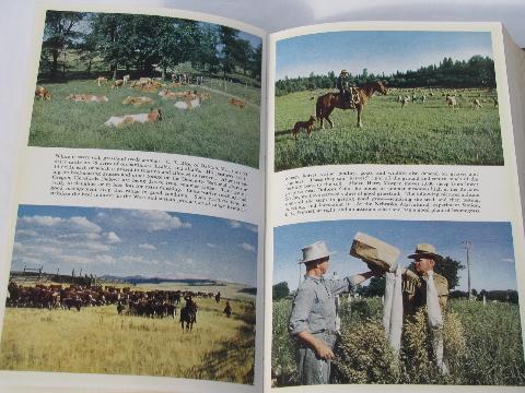 photo of 1948 USDA Agriculture Yearbook, all about grass #3