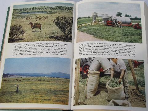 photo of 1948 USDA Agriculture Yearbook, all about grass #5