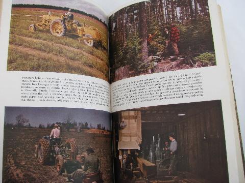 photo of 1949 USDA agriculture and forestry yearbook, trees, lumber industry etc. #3