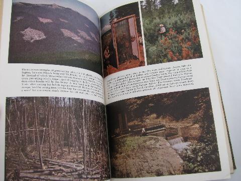 photo of 1949 USDA agriculture and forestry yearbook, trees, lumber industry etc. #4