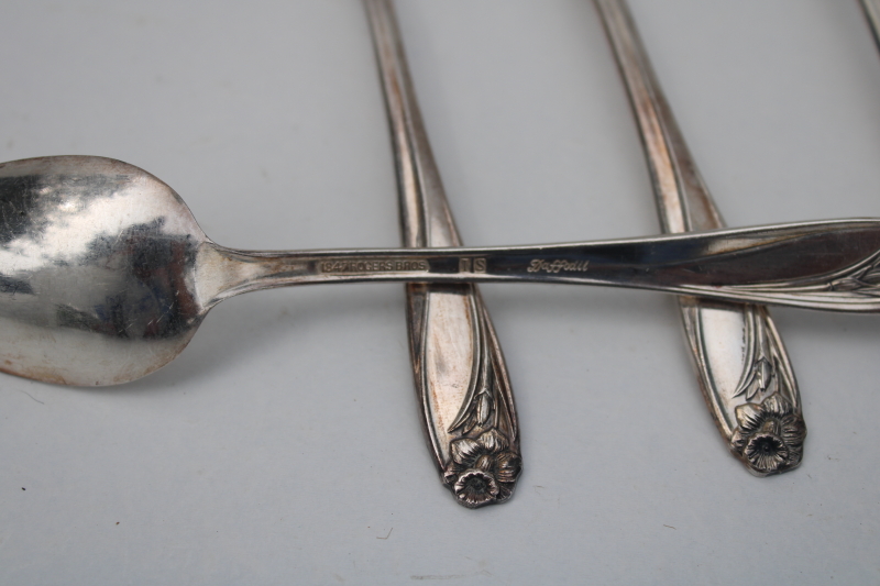 photo of 1950s vintage 1847 Rogers silver plate teaspoons, daffodil floral pattern #2