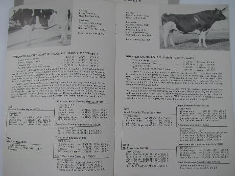 photo of 1950s vintage Holstein sire pedigree catalogs, early AI breeding bulls, ABS #3