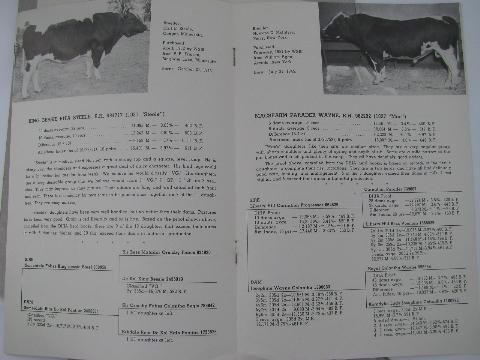 photo of 1950s vintage Holstein sire pedigree catalogs, early AI breeding bulls, ABS #4