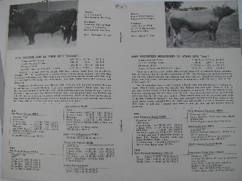 photo of 1950s vintage Jersey sire pedigree catalogs, early AI breeding bulls, ABS #3