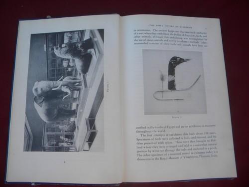 photo of 1950s vintage Practical Taxidermy, lots of illustrations, formulas #2