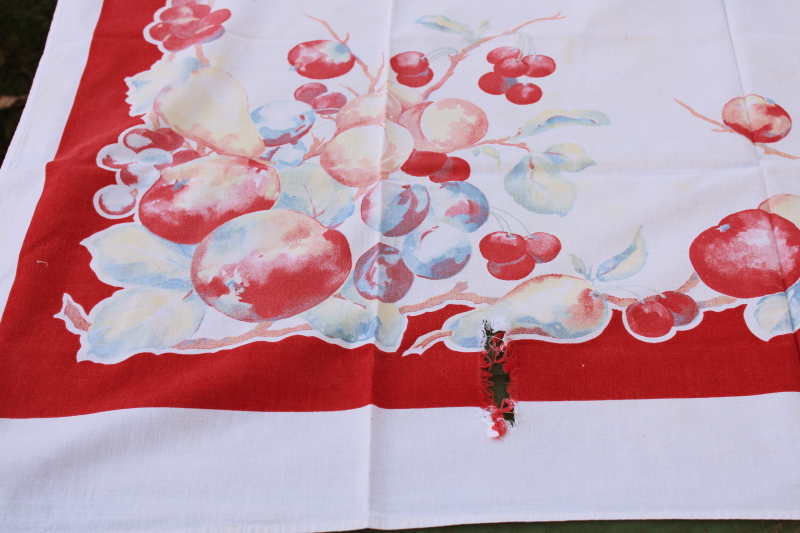 photo of 1950s vintage big apples printed kitchen tablecloth, retro fruit print cotton fabric #2