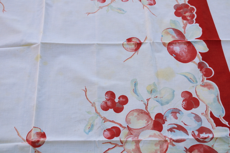 photo of 1950s vintage big apples printed kitchen tablecloth, retro fruit print cotton fabric #3