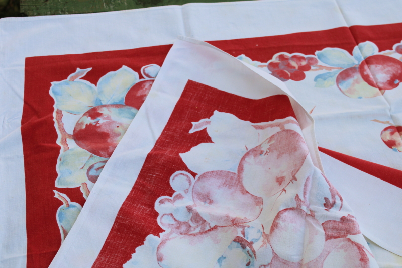 photo of 1950s vintage big apples printed kitchen tablecloth, retro fruit print cotton fabric #5