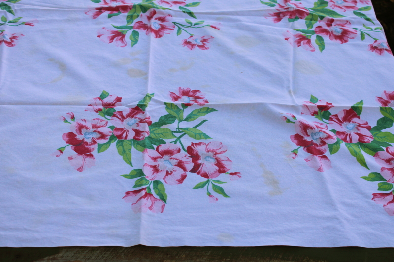 photo of 1950s vintage cotton kitchen tablecloth Wilendur label wild rose print pink flowers on white  #3