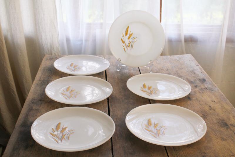 photo of 1960s vintage Anchor Hocking Fire King wheat pattern milk glass dinner plates #1