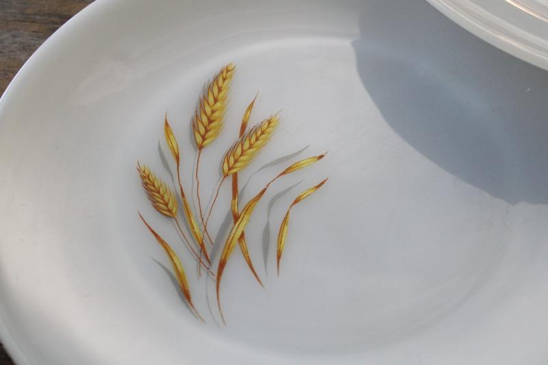 photo of 1960s vintage Anchor Hocking Fire King wheat pattern milk glass dinner plates #3