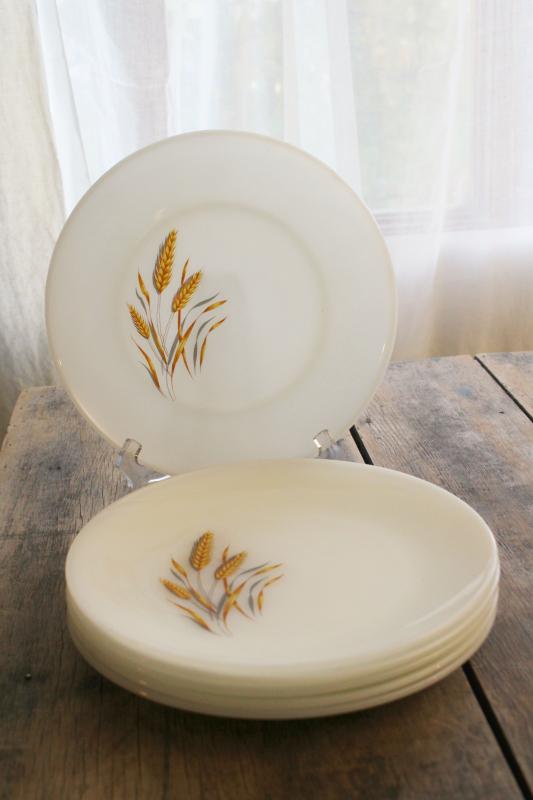 photo of 1960s vintage Anchor Hocking Fire King wheat pattern milk glass dinner plates #5