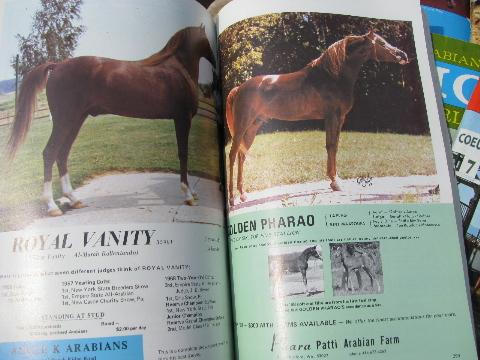 photo of 1969 full year of back issues Arabian Horse World magazines #2