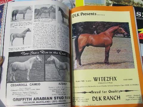 photo of 1970 full year of back issues Arabian Horse World magazines #3