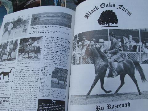 photo of 1972 lot of back issues Arabian Horse World magazines #4