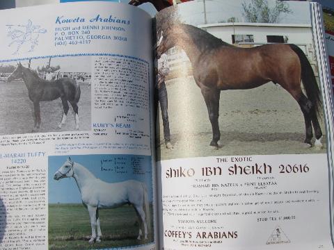 photo of 1973 full year of back issues Arabian Horse World magazines #3