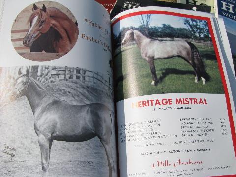 photo of 1973 full year of back issues Arabian Horse World magazines #4