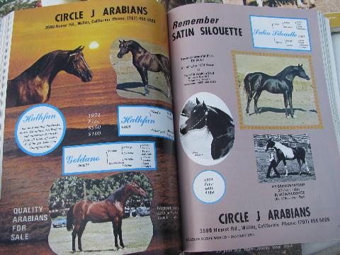 photo of 1974 full year of back issues Arabian Horse World magazines #3