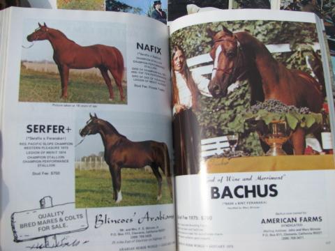 photo of 1975 full year of back issues Arabian Horse World magazines #2