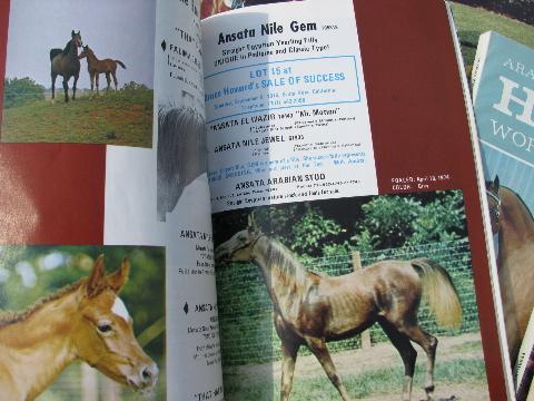 photo of 1975 full year of back issues Arabian Horse World magazines #3