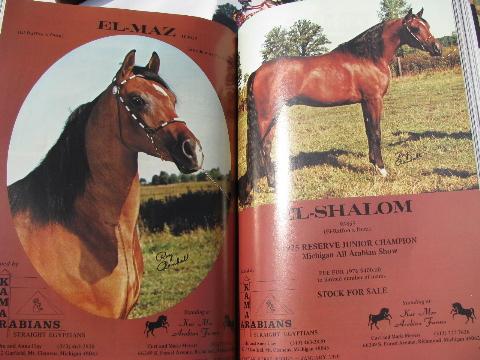 photo of 1976 full year of back issues Arabian Horse World magazines #3