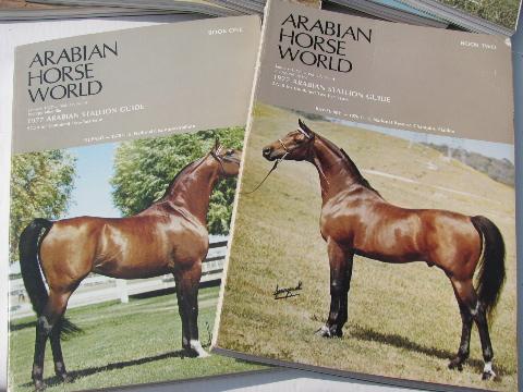 photo of 1977 lot of back issues Arabian Horse World magazines #2