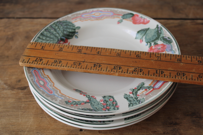 photo of 1980s vintage Tienshan stoneware plates, pink flowered cactus cacti border desert colors  #8