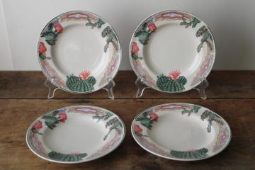 catalog photo of 1980s vintage Tienshan stoneware plates, pink flowered cactus cacti border desert colors 