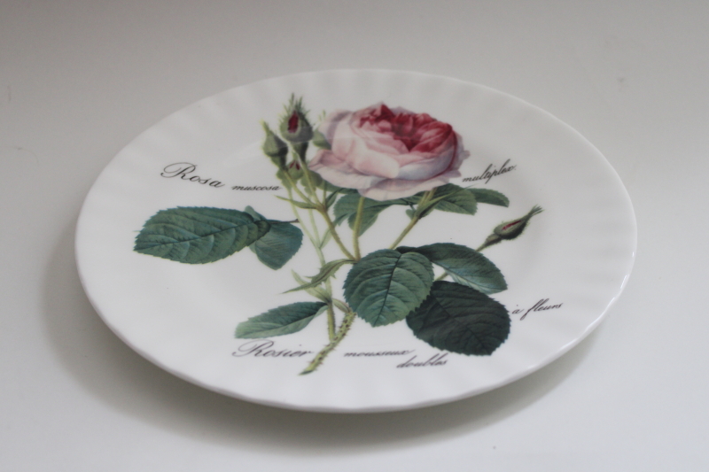 photo of 1990s vintage Roy Kirkham Rodoute roses bone china salad plate, botanical print illustration #1