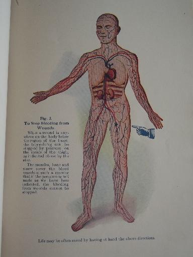 photo of 20s quack medicine Vitalogy book, old color print medical illustrations #3