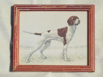 catalog photo of 40s 50s vintage miniature print, framed picture of hunter / pointer dog