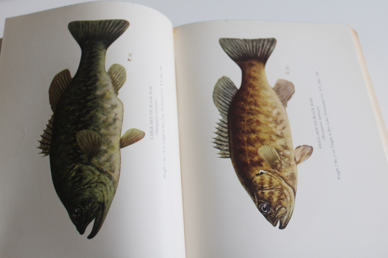 photo of 40s vintage sportman's guide Bass fishing w/ old color prints suitable for framing  #5