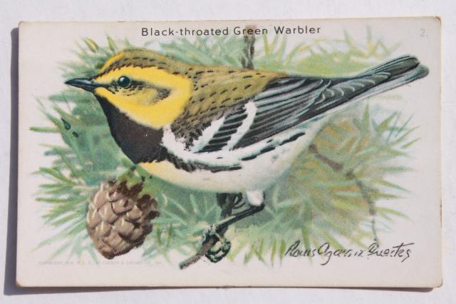 photo of 50+ antique vintage Church & Dwight advertising trade cards, bird prints lot #14