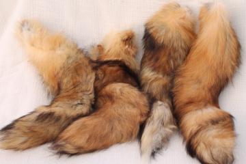 catalog photo of 50s 60s furs, fluffy soft red fox fur tails for cabin decor or vintage charm fashion accessories