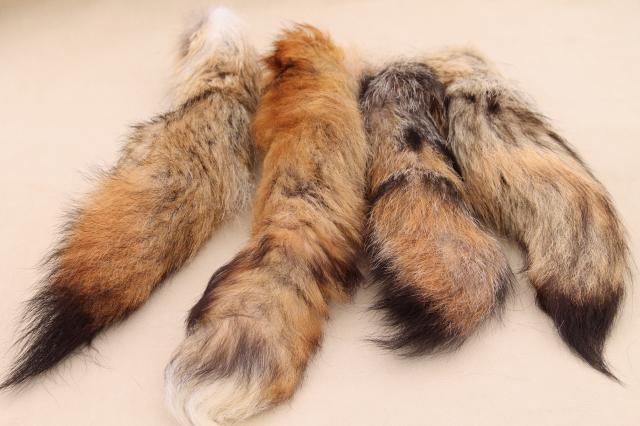 photo of 50s 60s furs, fluffy soft red fox fur tails for cabin decor or vintage charm fashion accessories #1