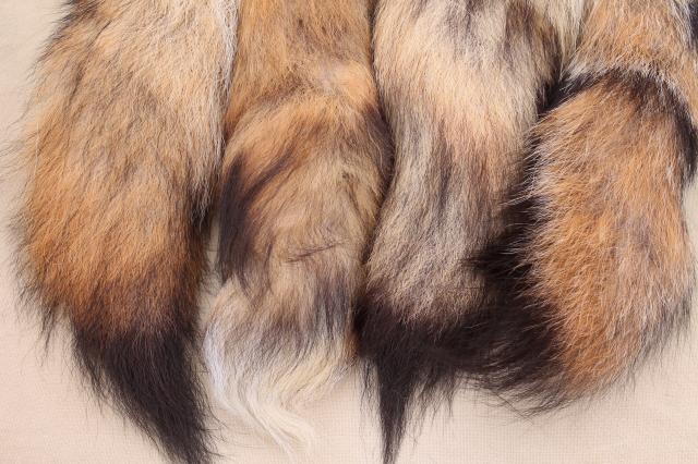 photo of 50s 60s furs, fluffy soft red fox fur tails for cabin decor or vintage charm fashion accessories #7