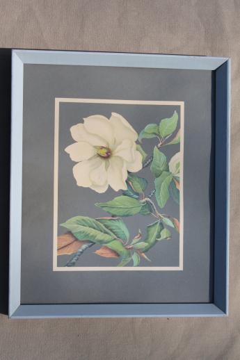 photo of 50s 60s vintage Turner style framed floral prints, mod flowers on steel grey #3