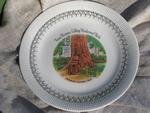 photo of 50s vintage Redwood Highway souvenir plate, Tree House at Lilley Park #1