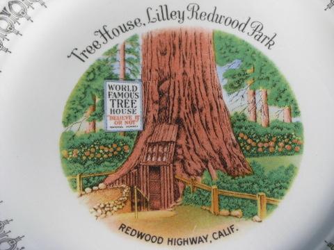 photo of 50s vintage Redwood Highway souvenir plate, Tree House at Lilley Park #2